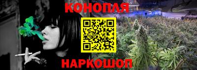 прущие грибы Севастополь
