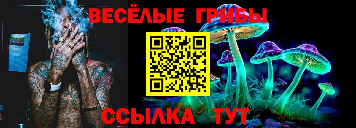 Галлюциногенные грибы ЛСД  Псилоцибиновые грибы Psilocybe  Вход с VPN  Саянск 